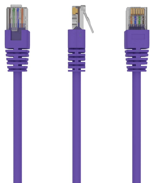 Gembird RJ45/RJ45 Cat5e 1m cable de red Púrpura U/UTP (UTP)